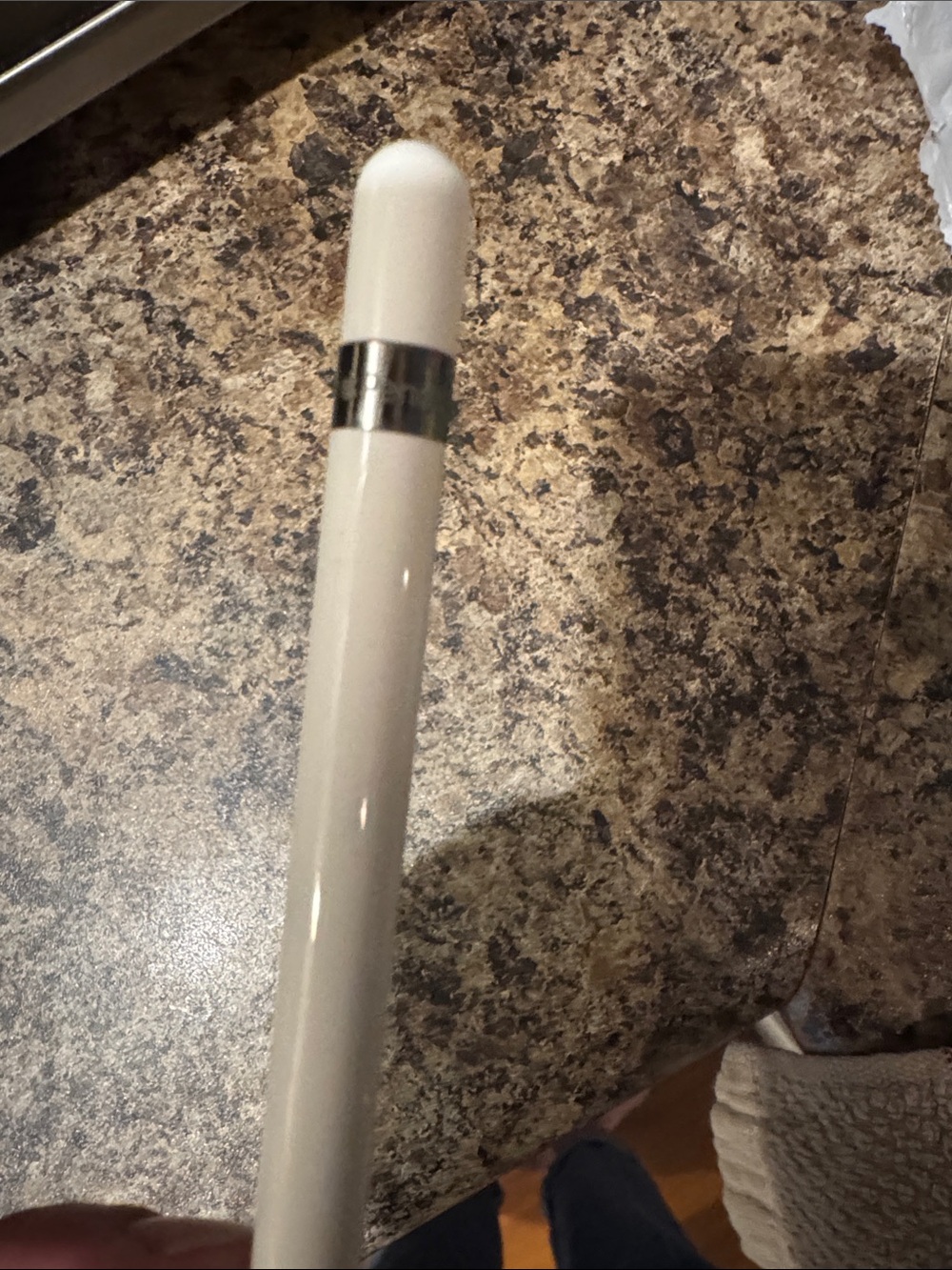 Classic White Home Accent Stylus Pen with Silver Band (Apple 2023)
